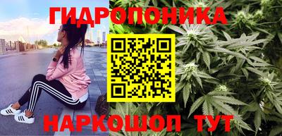 mdpv Краснознаменск