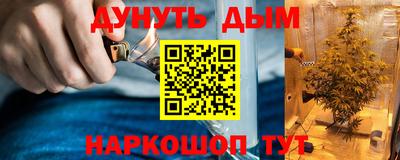 mdpv Краснознаменск