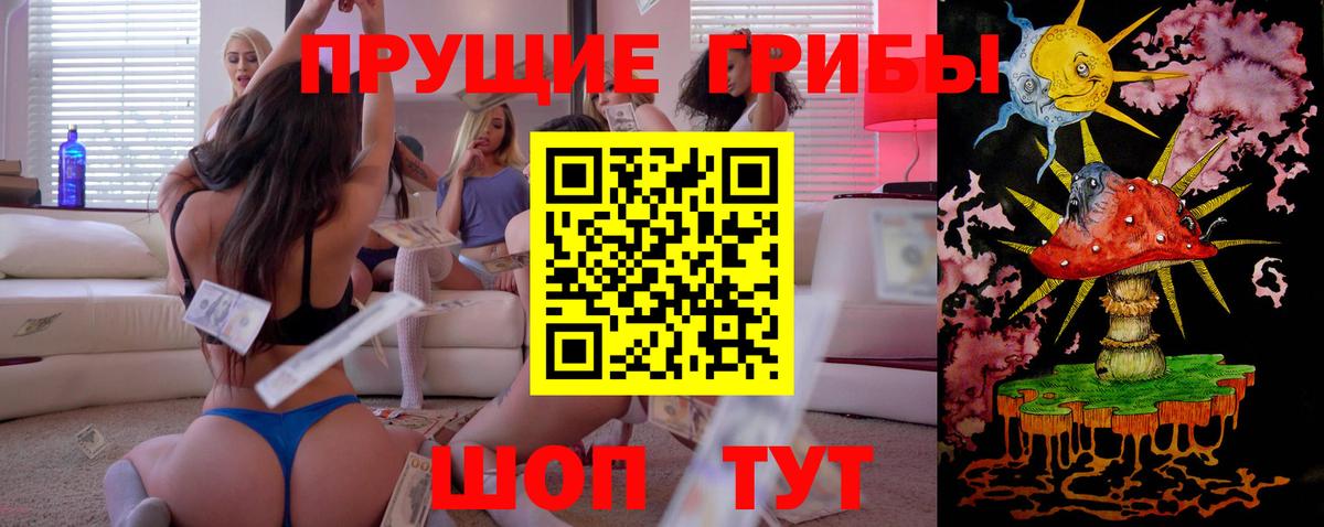 Галлюциногенные грибы Psilocybine cubensis Кемерово