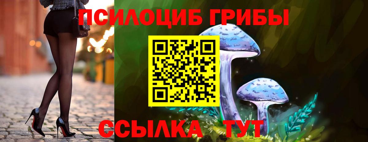 Галлюциногенные грибы Cubensis  Вход с VPN  Кемерово 